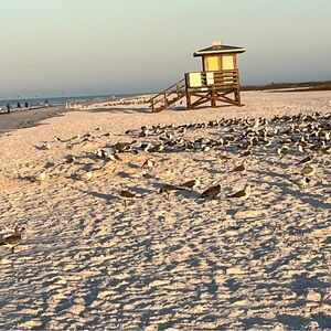 Meet your Posher, Jody